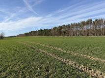 Działka rolna Łuskowo, Łuskowo. Zdjęcie 2