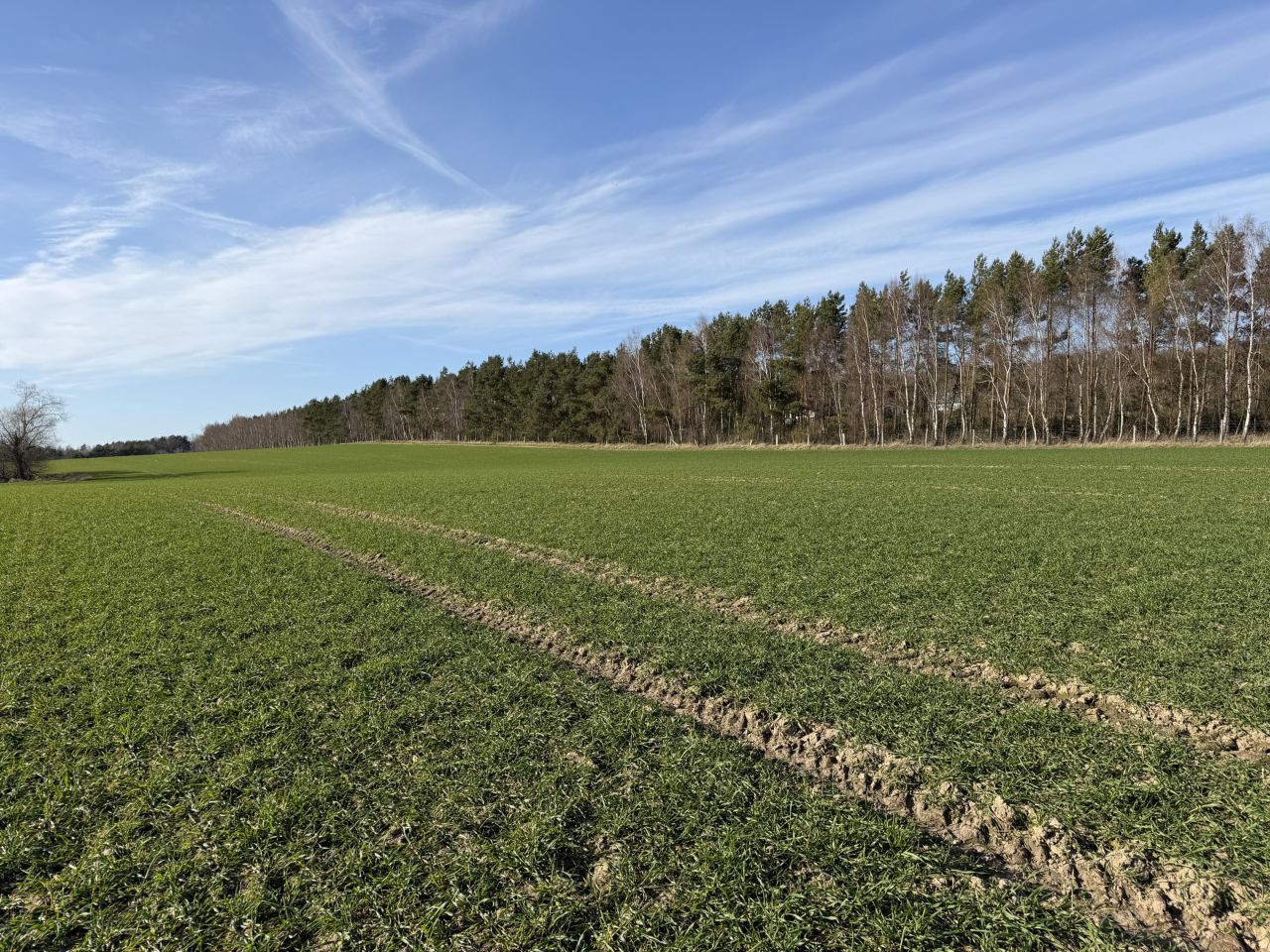 Działka rolna Łuskowo, Łuskowo. Zdjęcie 3