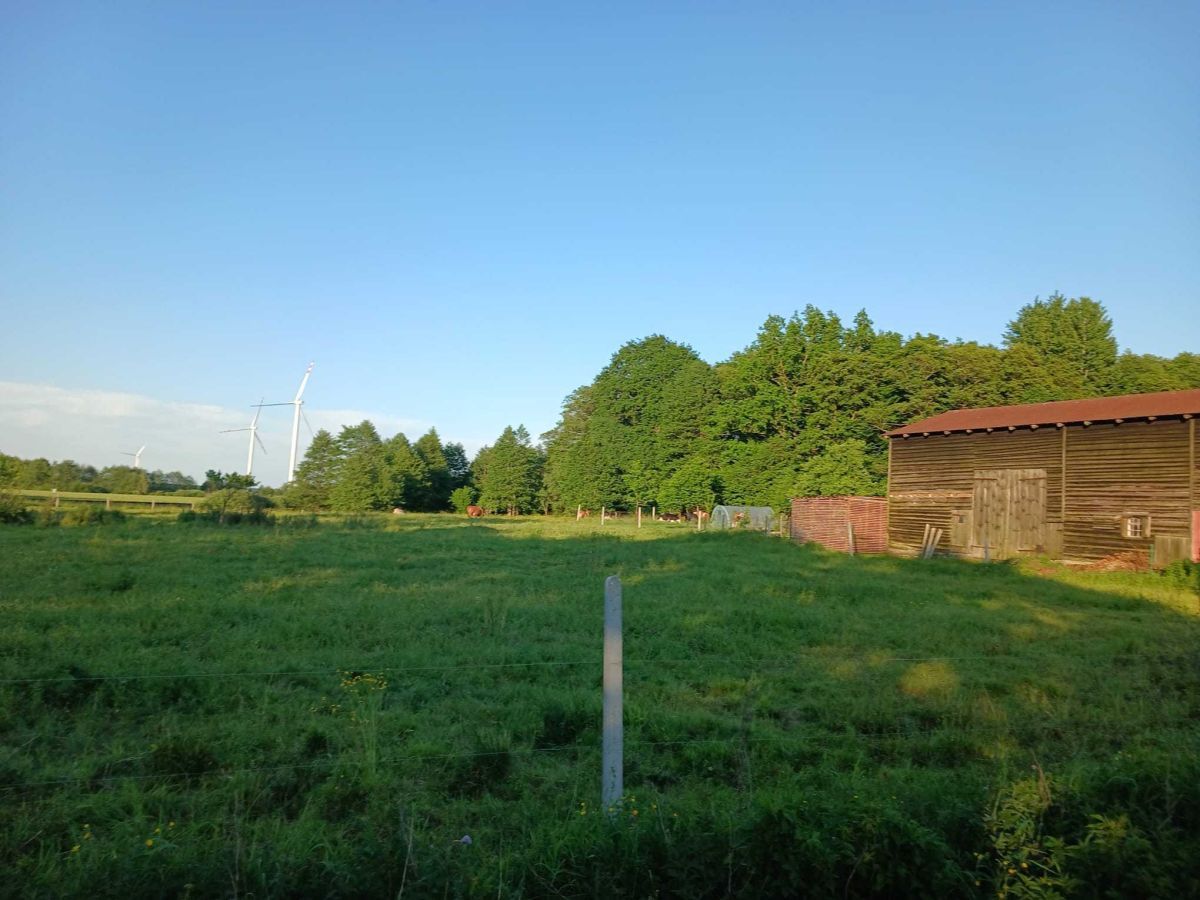 Działka budowlana Sińczyca. Zdjęcie 1
