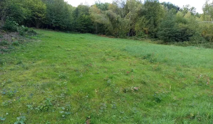 Działka Laskowa