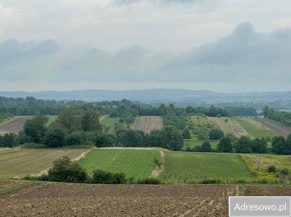 Działka rekreacyjna Bierówka. Zdjęcie 6