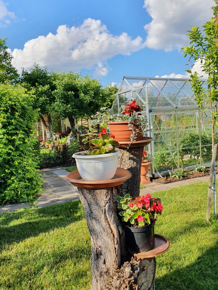 Działka rod Piła Koszyce, ul. Paderewskiego. Zdjęcie 7