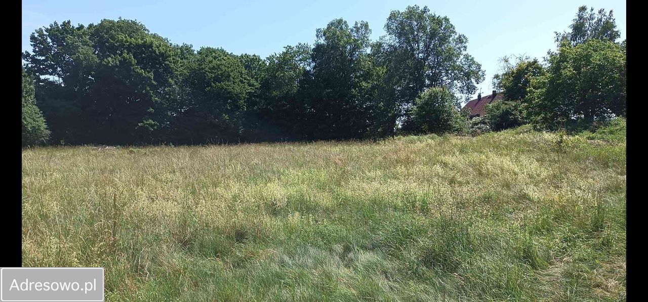 Działka rolno-budowlana Siekierowice. Zdjęcie 8