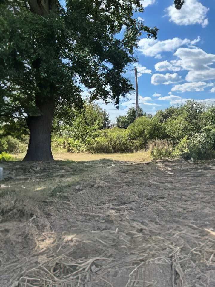 Działka rolno-budowlana Jaźwina. Zdjęcie 3