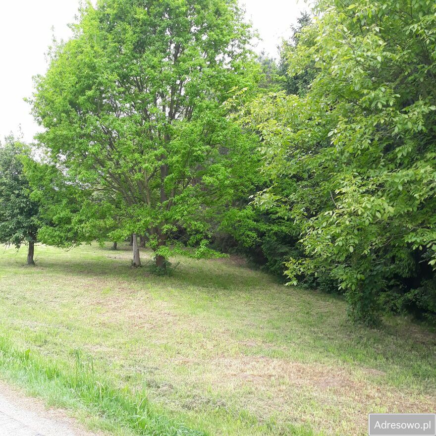 Działka rolna Krosno Białobrzegi. Zdjęcie 3