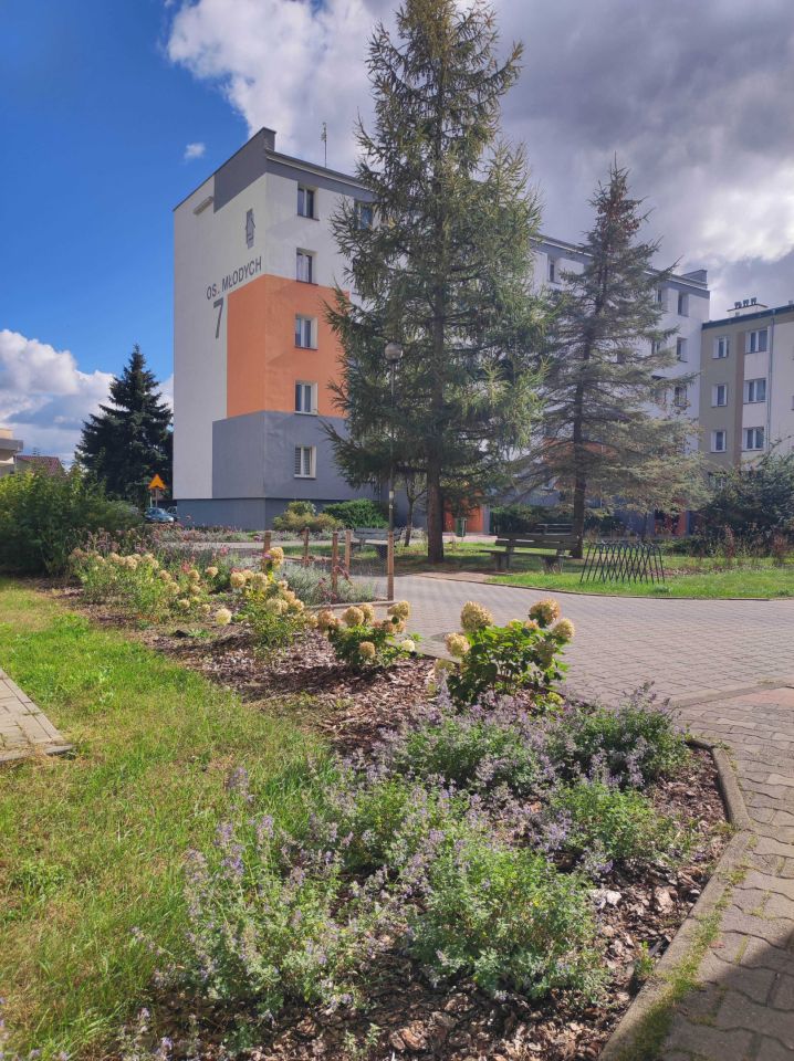 Mieszkanie 3-pokojowe Krzyż Wielkopolski, os. Młodych