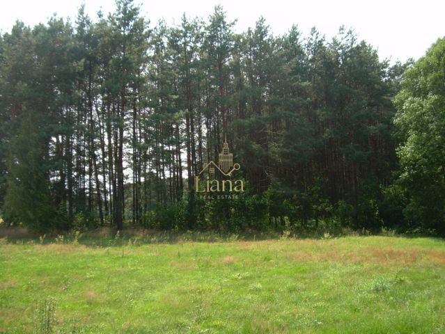 Działka budowlana Kobyla. Zdjęcie 2