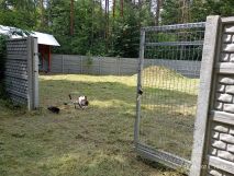 Działka inwestycyjna Milicz. Zdjęcie 1