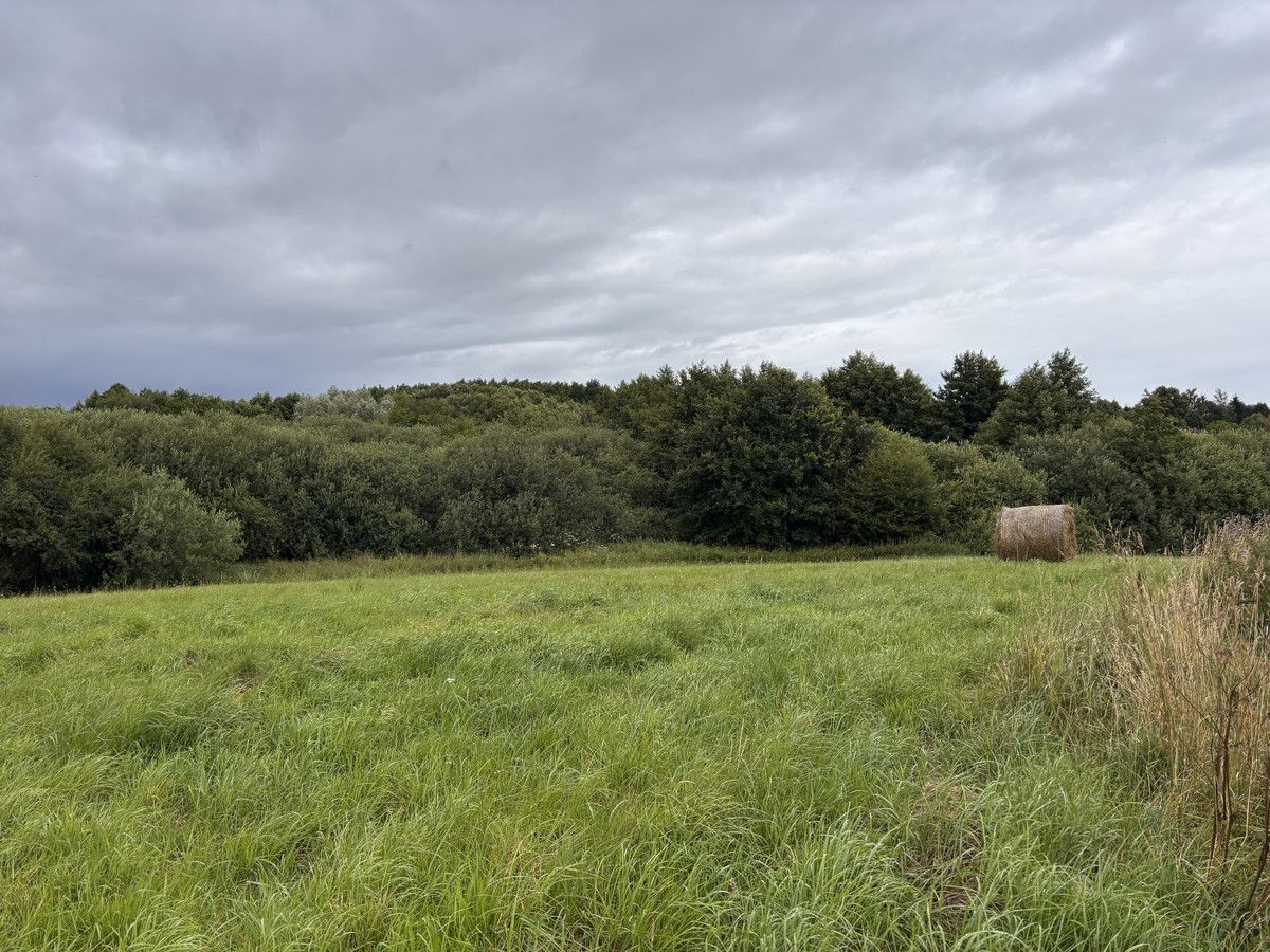 siedlisko, 11 pokoi Słowienkowo. Zdjęcie 16