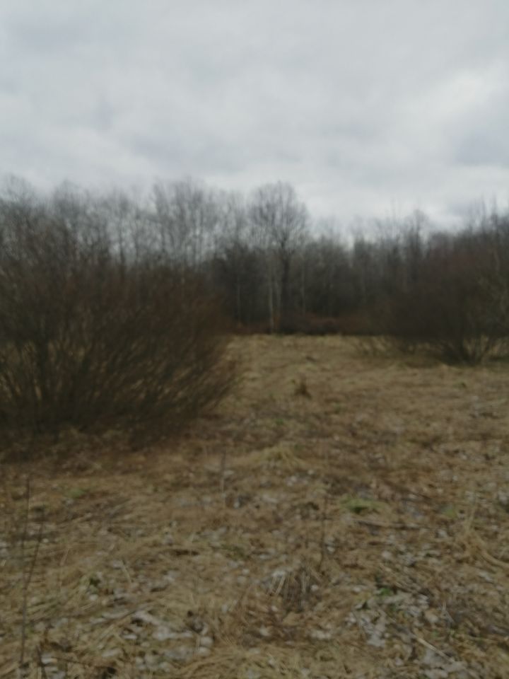 Działka rolna Rozdziele. Zdjęcie 5