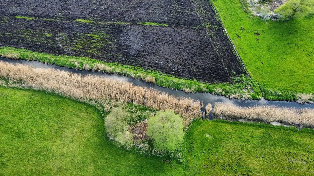 Działka rolna Rąbczyn Nowa Wieś. Zdjęcie 5