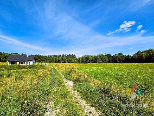 Działka budowlana Patryki. Zdjęcie 5