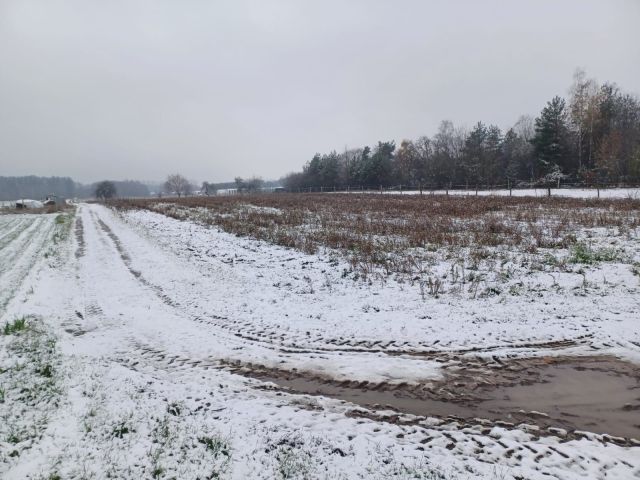 Działka budowlana Przypisówka. Zdjęcie 1
