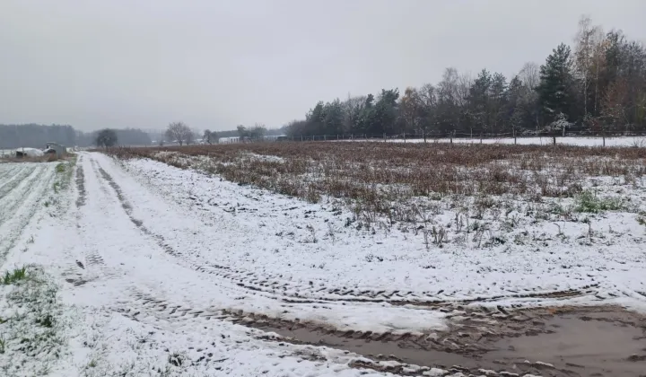 Działka budowlana Przypisówka