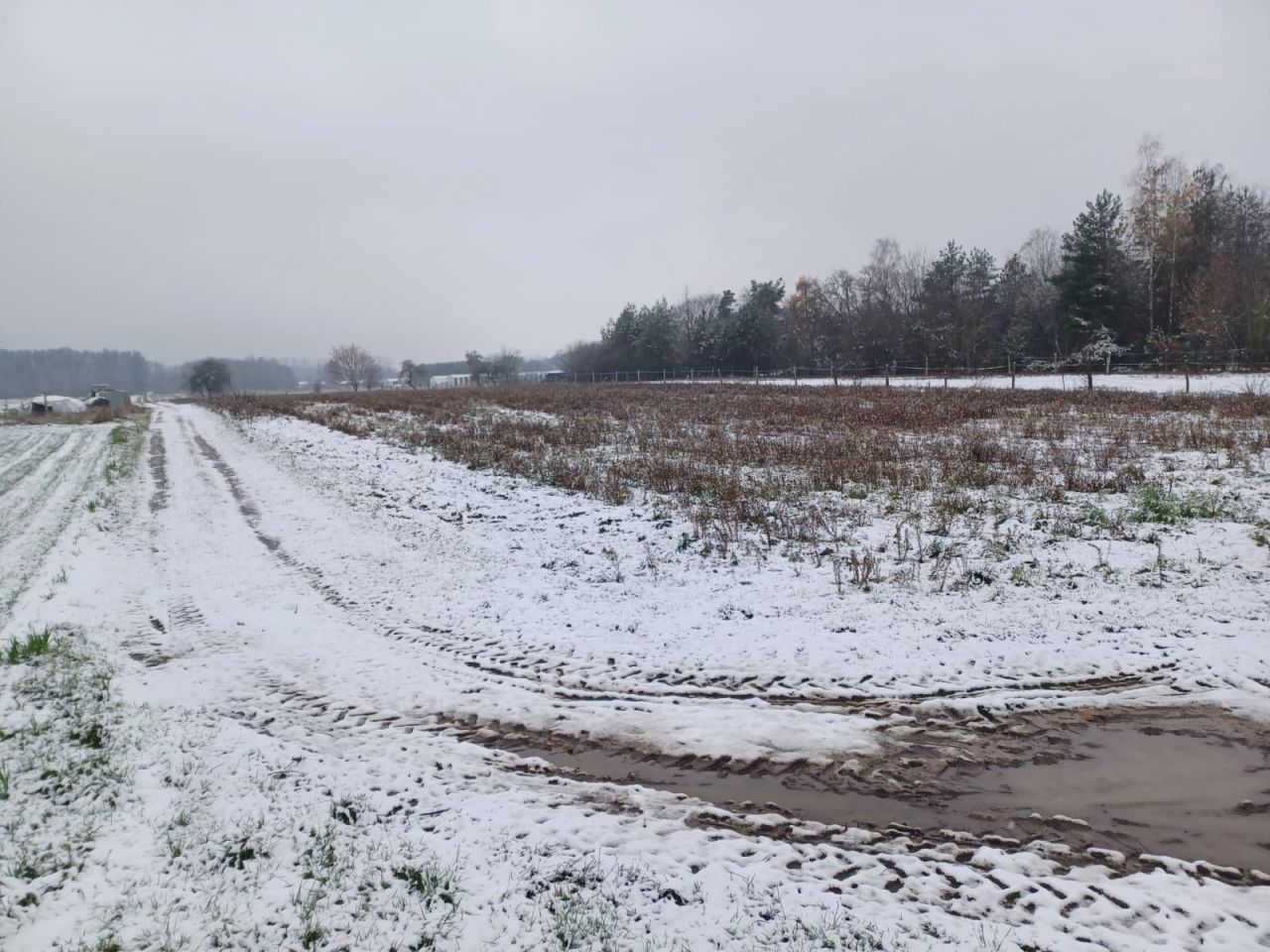 Działka budowlana Przypisówka