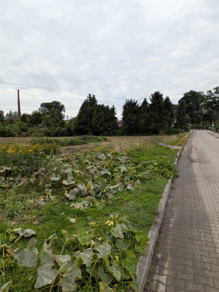 Działka budowlana Bierutów, ul. Jana Kilińskiego. Zdjęcie 3