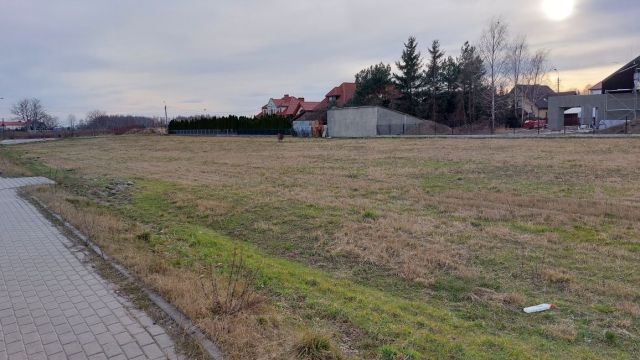 Działka budowlana Opacz-Kolonia, ul. Migdałowa. Zdjęcie 1