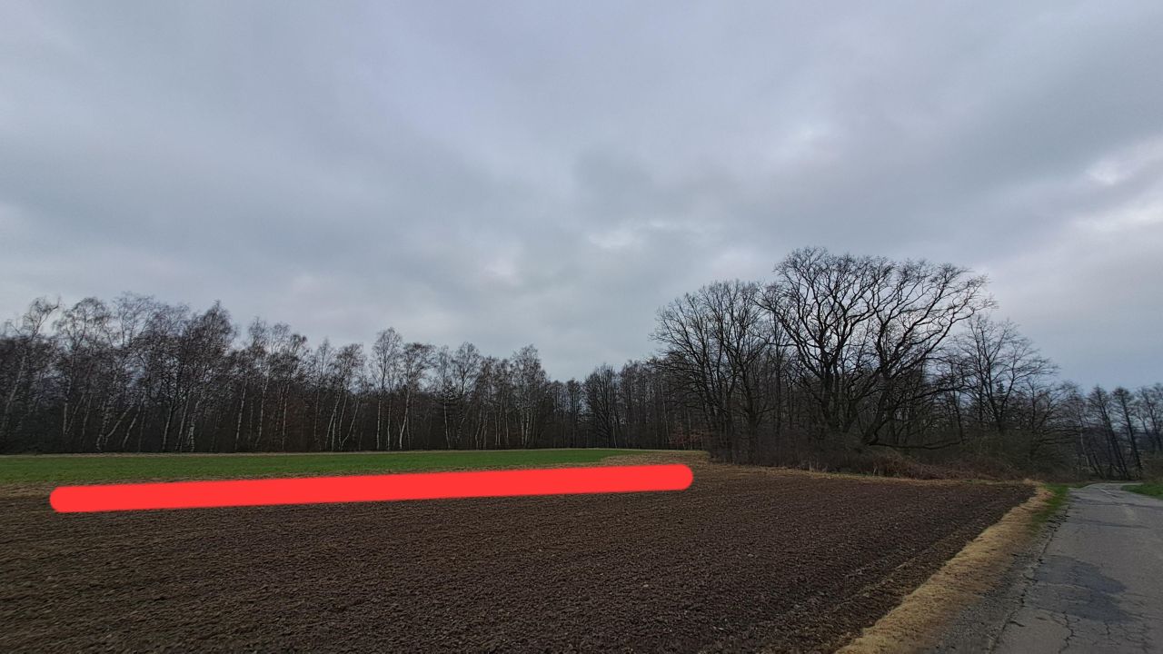 Działka leśna Babice, ul. Piaskowa. Zdjęcie 6