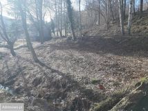 Działka budowlana Pieszyce Lasocin. Zdjęcie 4