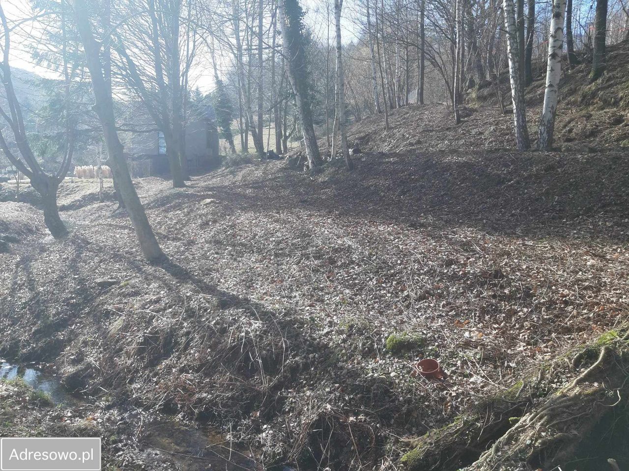 Działka budowlana Pieszyce Lasocin. Zdjęcie 5