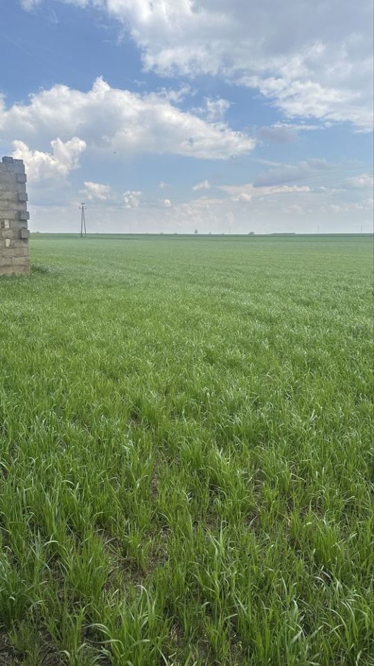 Działka rolna Karniszewo. Zdjęcie 7