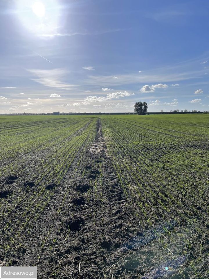 Działka inwestycyjna Karnin, ul. Lubuska. Zdjęcie 4