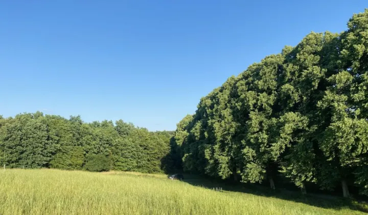 Działka budowlana Łapino Kartuskie