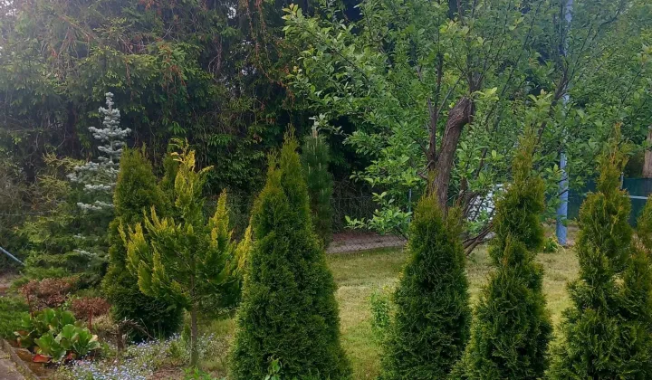 Działka rod Bydgoszcz, ul. Łochowska