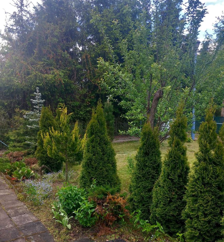 Działka rod Bydgoszcz, ul. Łochowska. Zdjęcie 1