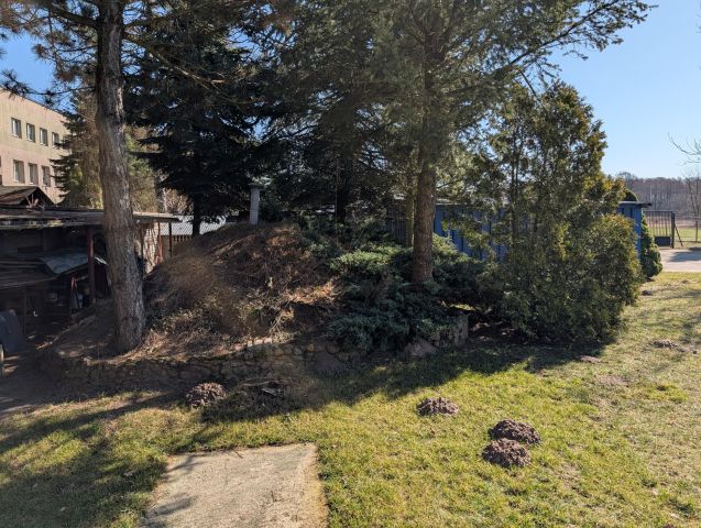 dom wolnostojący, 5 pokoi Zabłoty, Zabłoty 19a. Zdjęcie 13