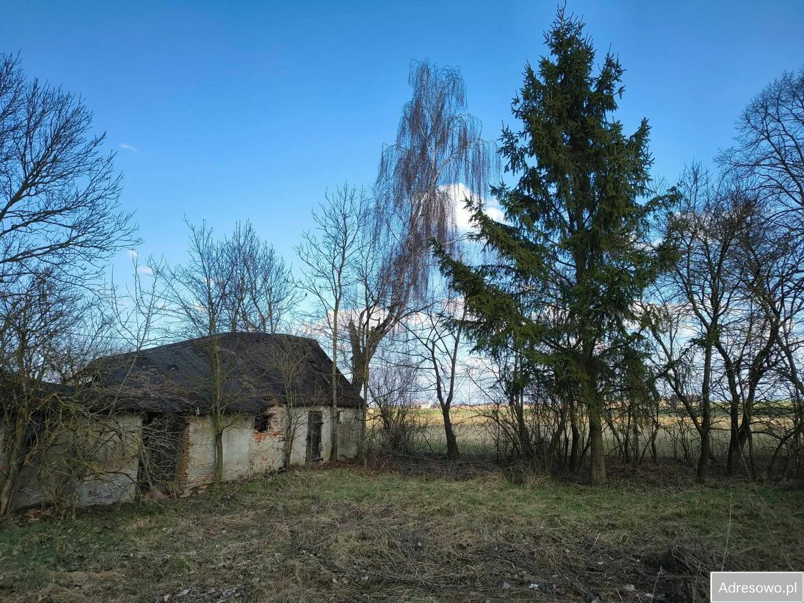 siedlisko, 3 pokoje Łubki. Zdjęcie 7