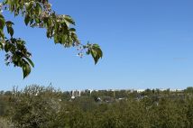 Działka rolno-budowlana Kobierniki. Zdjęcie 2