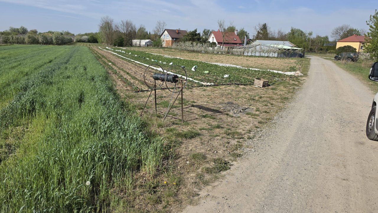 Działka rolna Mniszew. Zdjęcie 4