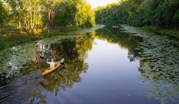 Działka rekreacyjna Niesulice