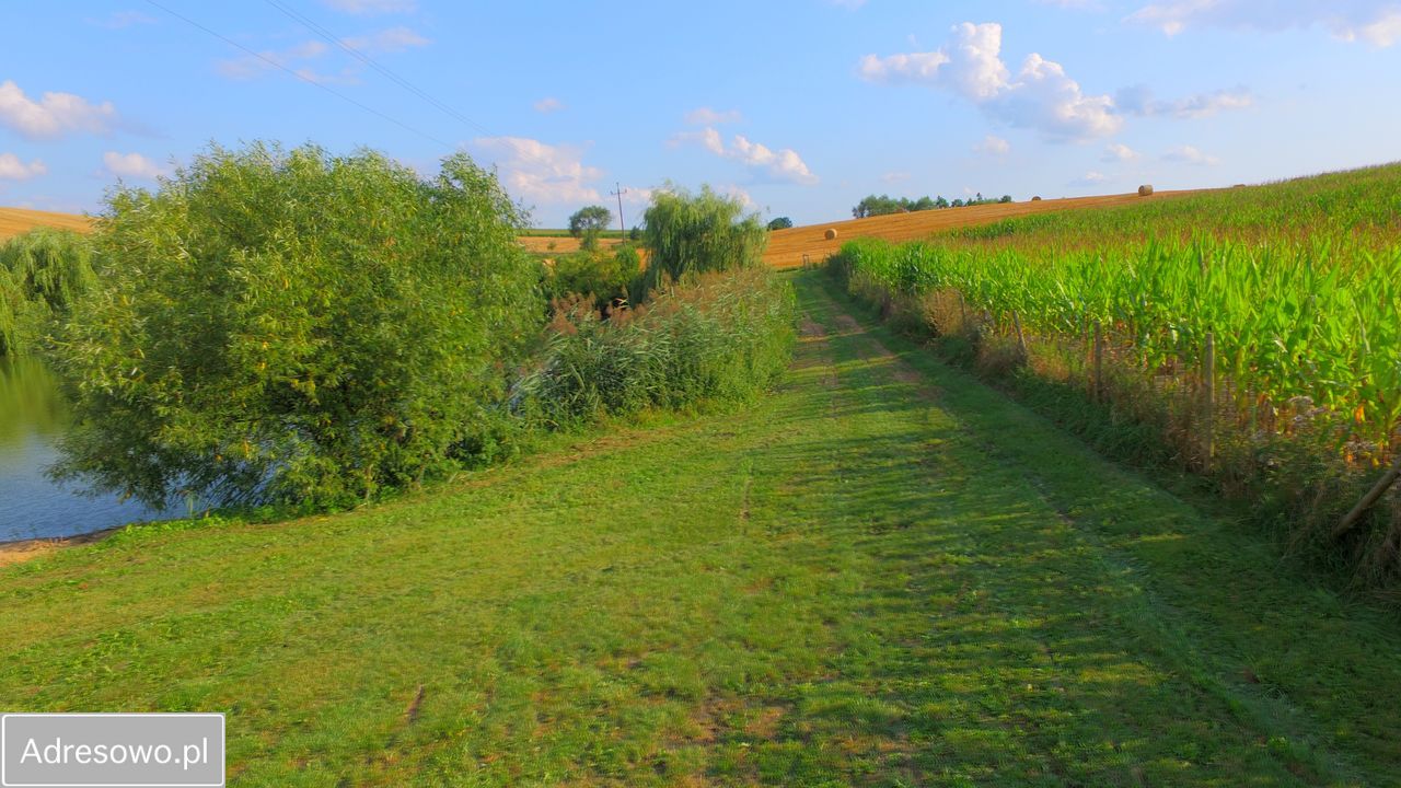 Działka rekreacyjna Rudaw. Zdjęcie 4
