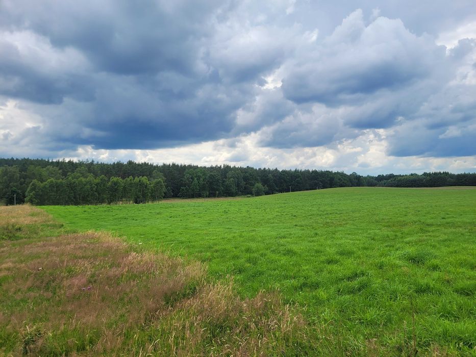 Działka rolna Sierakowo Sławieńskie. Zdjęcie 8