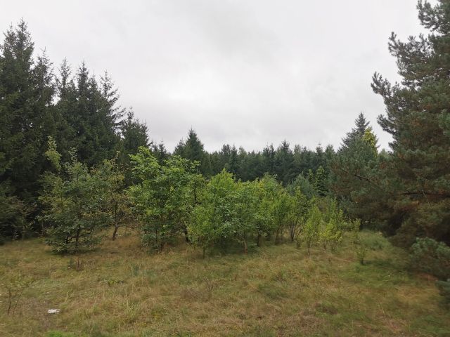 Działka inwestycyjna Złotów. Zdjęcie 2