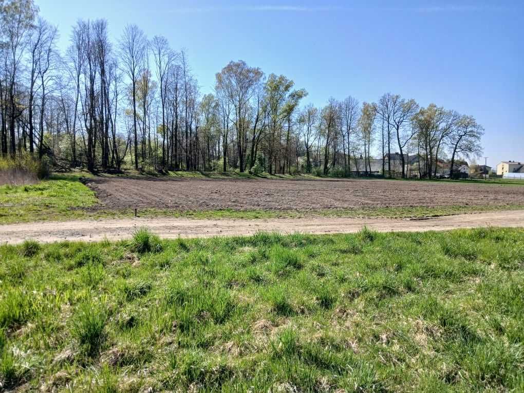 Działka rolna Jawiszowice Jaźnik, ul. Trzciniec. Zdjęcie 3