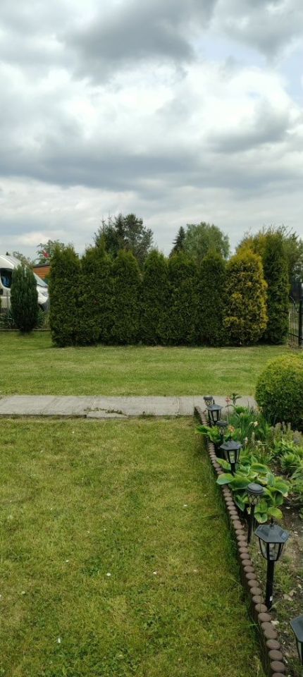 Działka rod Szczecin Golęcino, ul. Władysława Nehringa. Zdjęcie 3