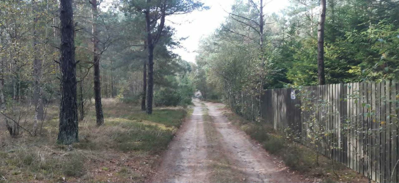 Działka siedliskowa Olpuch. Zdjęcie 9