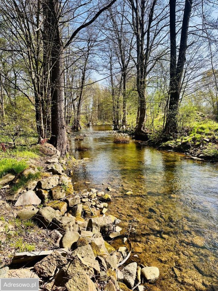 dom wolnostojący, 7 pokoi Polanica-Zdrój. Zdjęcie 2