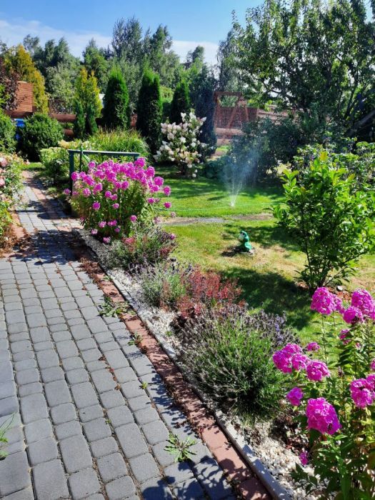 Działka rod Gdańsk Rębiechowo, ul. Nowatorów. Zdjęcie 12