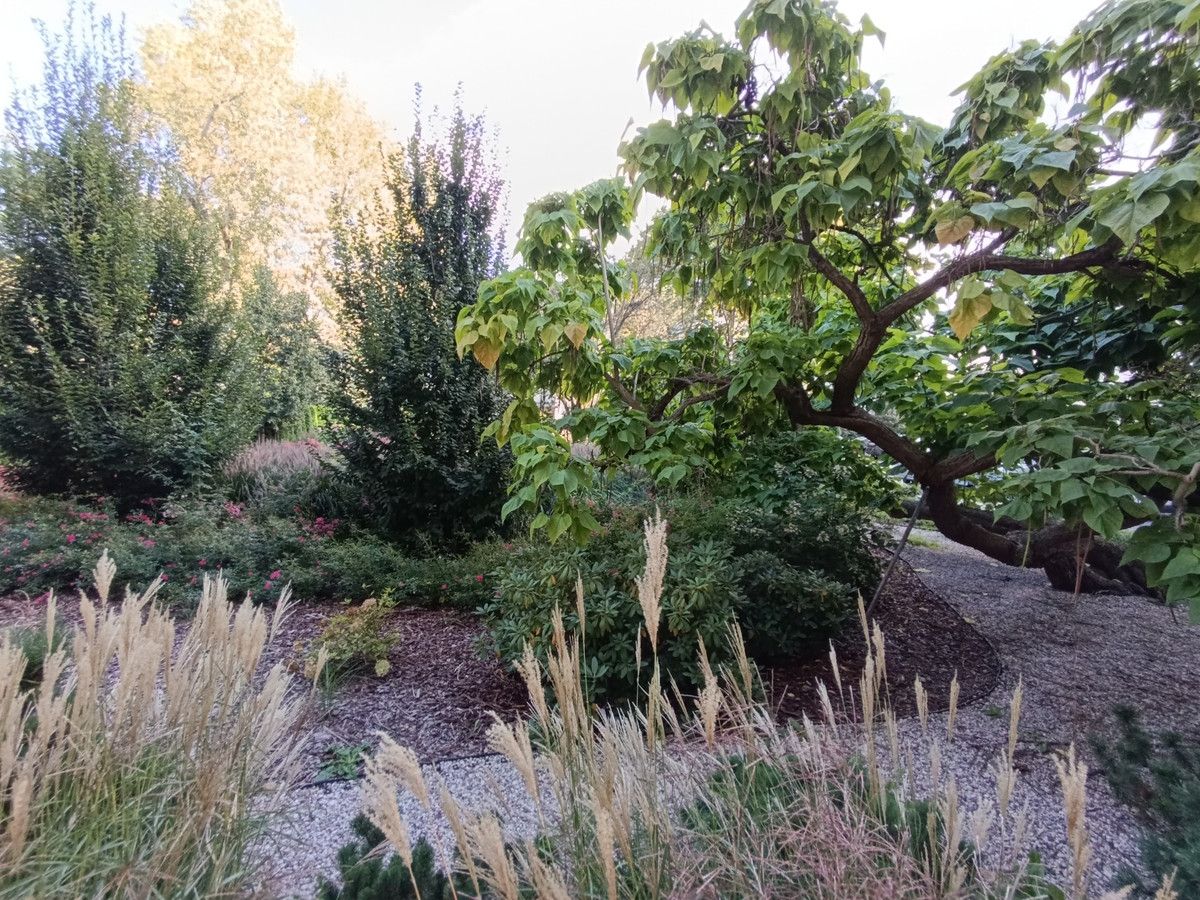 Mieszkanie 1-pokojowe Warszawa Nowe Miasto, ul. Ciasna. Zdjęcie 2