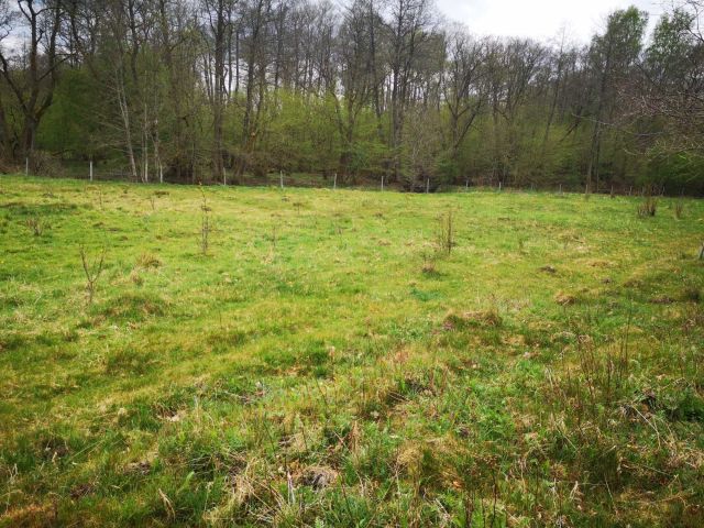 Działka rolna Mieszałki. Zdjęcie 1