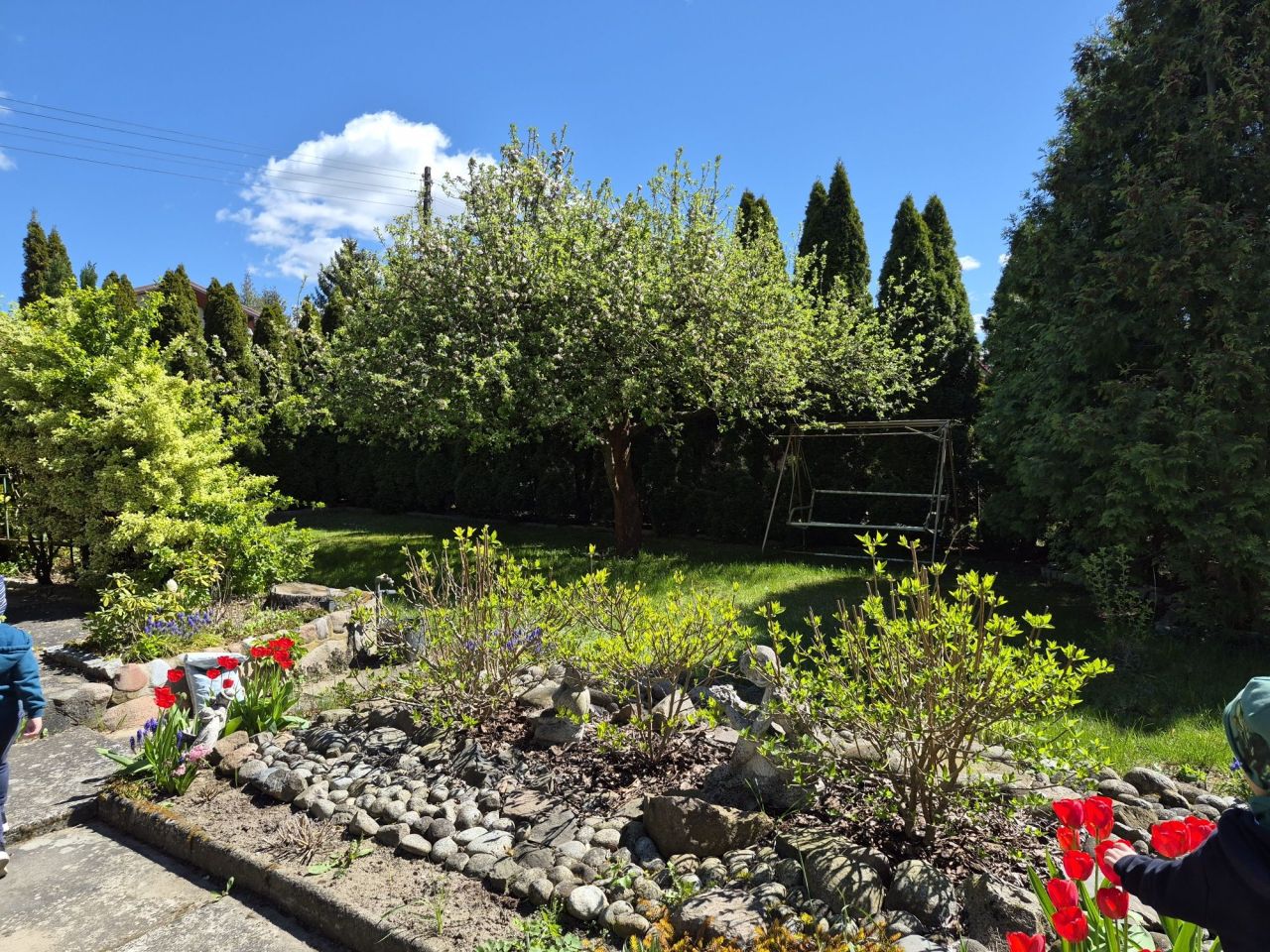 Działka rod Suchy Las, ul. Nektarowa. Zdjęcie 7