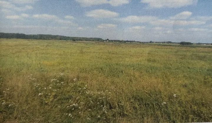 Działka rolna Klimonty
