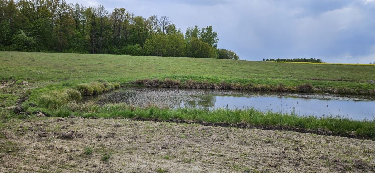 Działka budowlana Samolubie. Zdjęcie 3