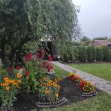 Mieszkanie 2-pokojowe Biała Podlaska, ul. Księcia Witolda. Zdjęcie 1