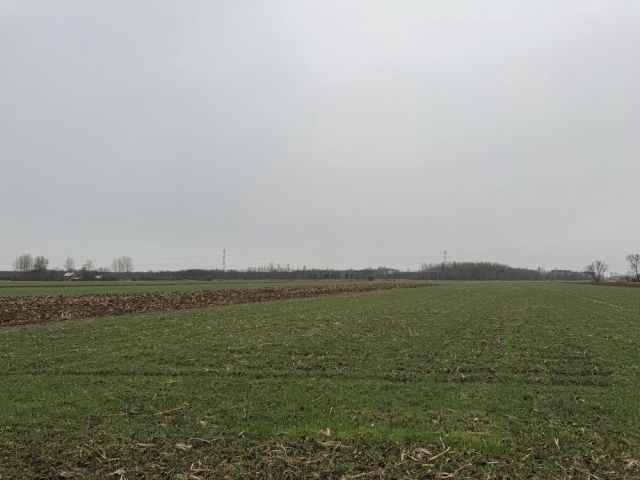 Działka rolno-budowlana Breń Osuchowski. Zdjęcie 1