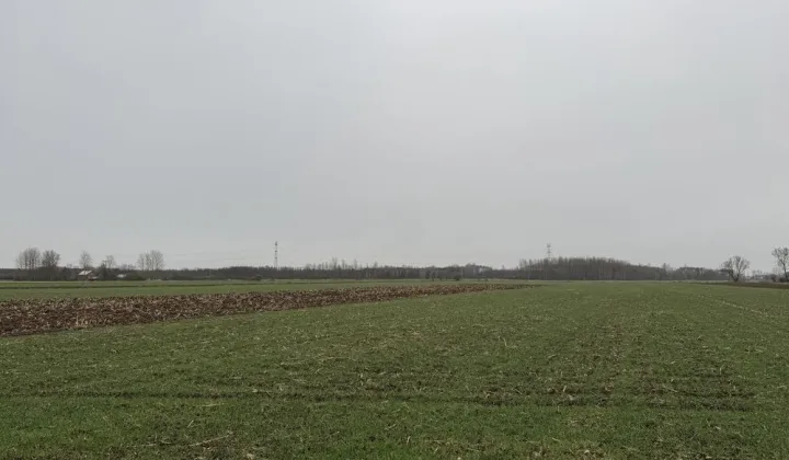 Działka rolno-budowlana Breń Osuchowski